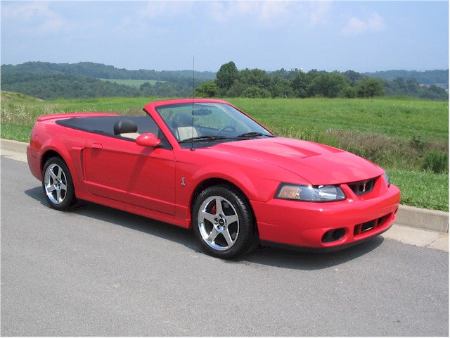 03-04 Cobra