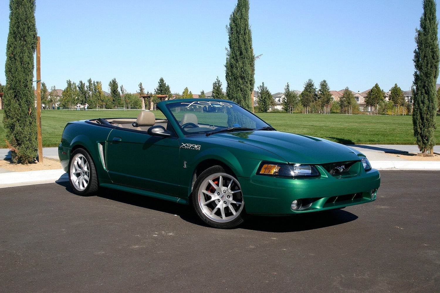99-01 Cobra