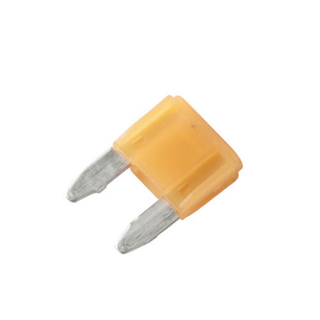 MINI Indicator Fuses