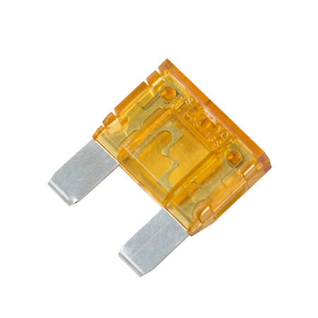 MAXI Indicator Fuses